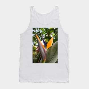 1127 paradise Tank Top